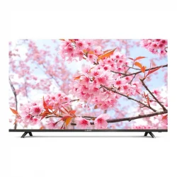 تلویزیون دوو مدل DLE-43MF1500 سایز 43 اینچ Full HD